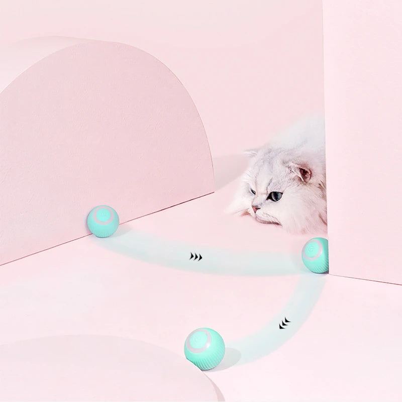 Crazy-Joy Cat Car - Smart, Interactive, and Healthy Fun for Your Feline Friend! - My Store