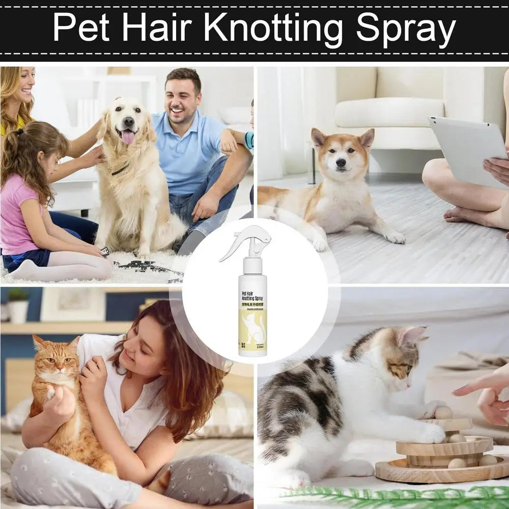 Dog & Cat Detangling Spray – Gentle, Anti-Static Grooming Solution (120ml) - My Store