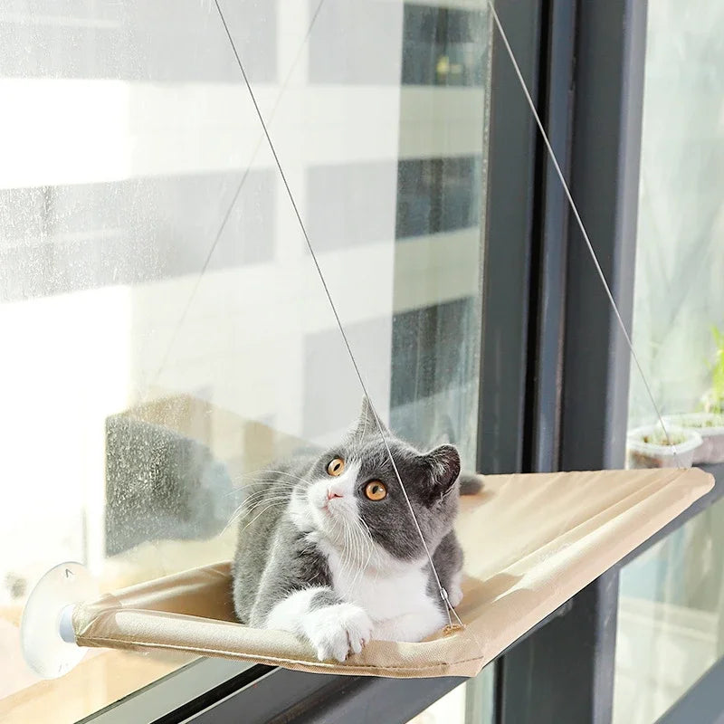 Cat Window Hammock – Durable, Breathable, and Comfortable Perch for Cats - My Store