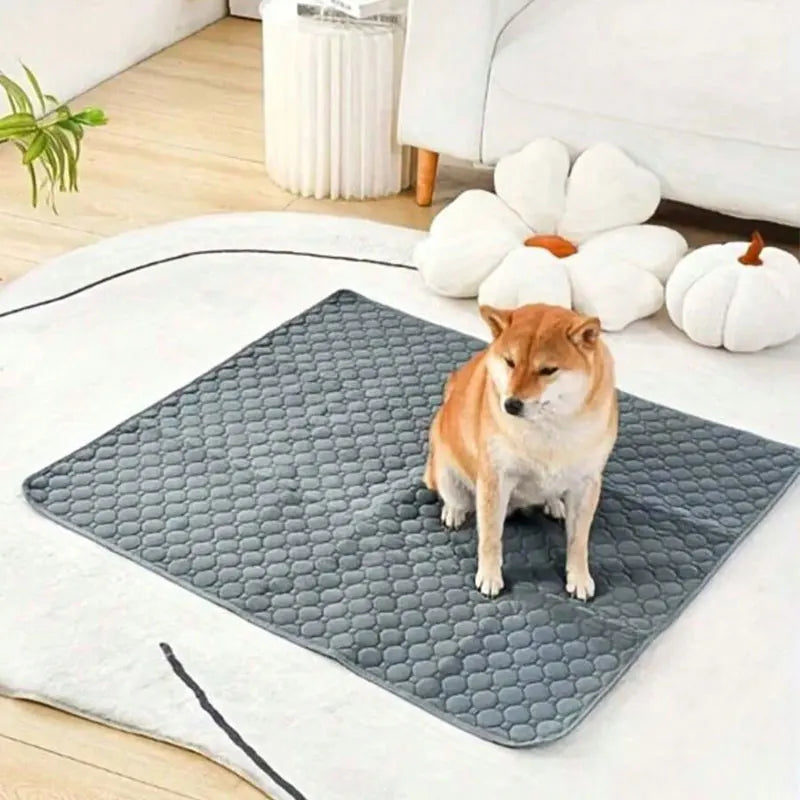 Reusable &amp; Washable Dog Pee Pad – Waterproof Absorbent Training Mat for Pets - My Store