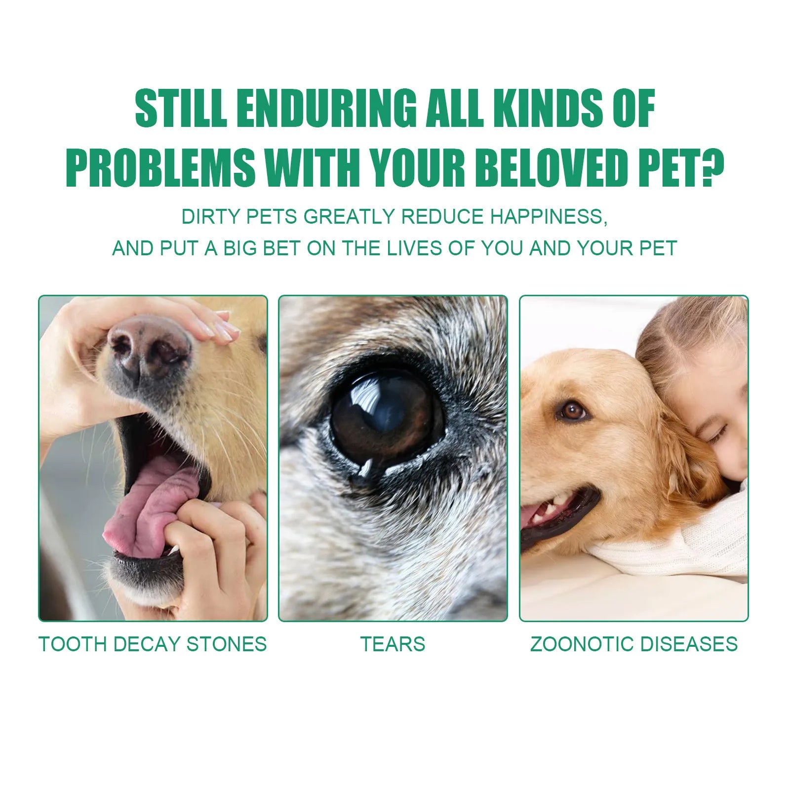 Disposable Teeth Cleaning Finger Wipes – Grooming Essentials for Dogs and Cats - My Store