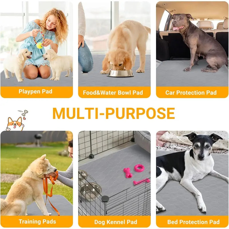 Reusable &amp; Washable Dog Pee Pad – Waterproof Absorbent Training Mat for Pets - My Store