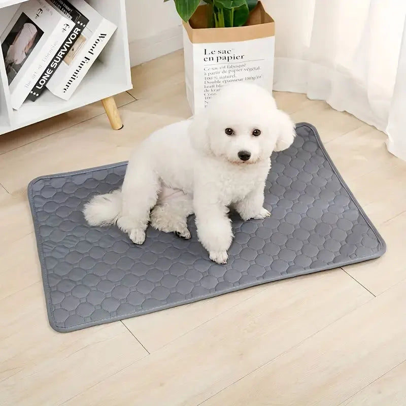 Reusable &amp; Washable Dog Pee Pad – Waterproof Absorbent Training Mat for Pets - My Store