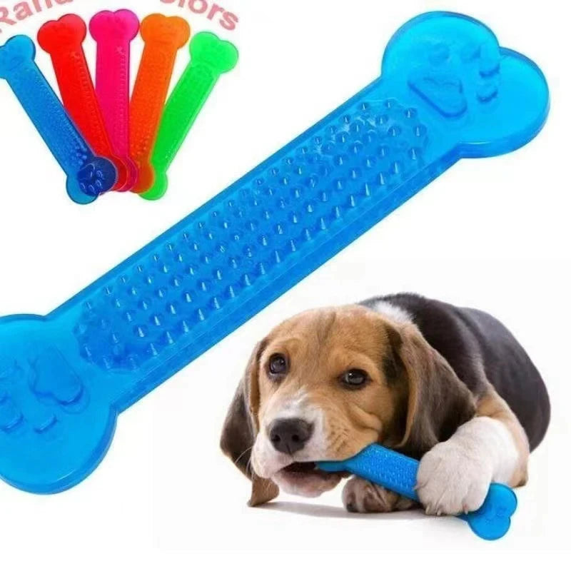 Durable Rubber Bone Chew Toy – Dental Care for Aggressive Chewers - My Store